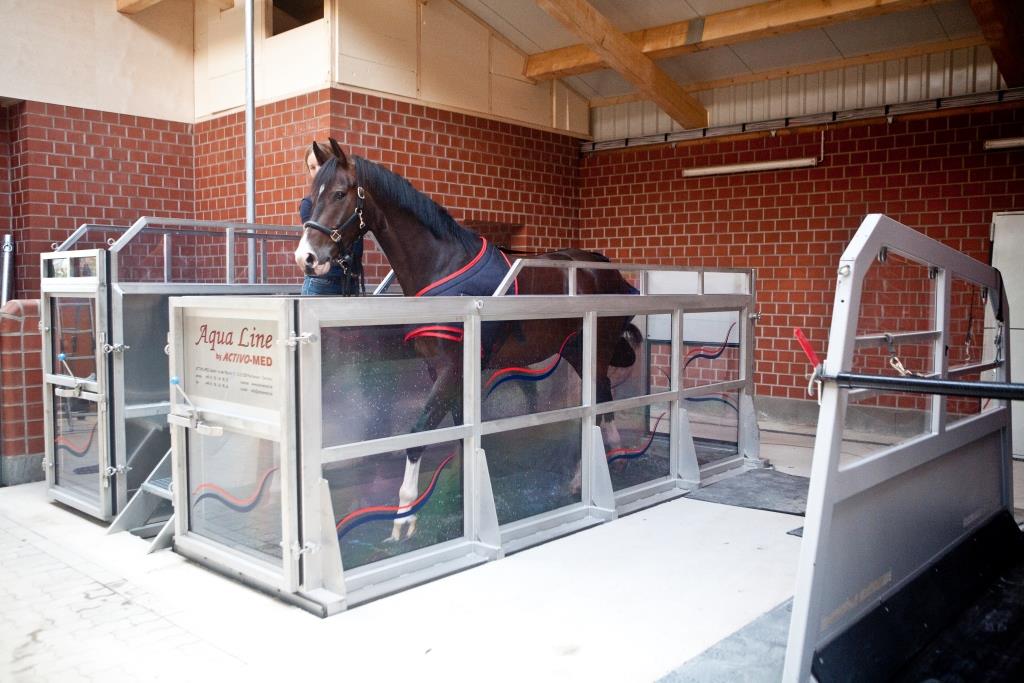 Aquamariner and Horse Spa