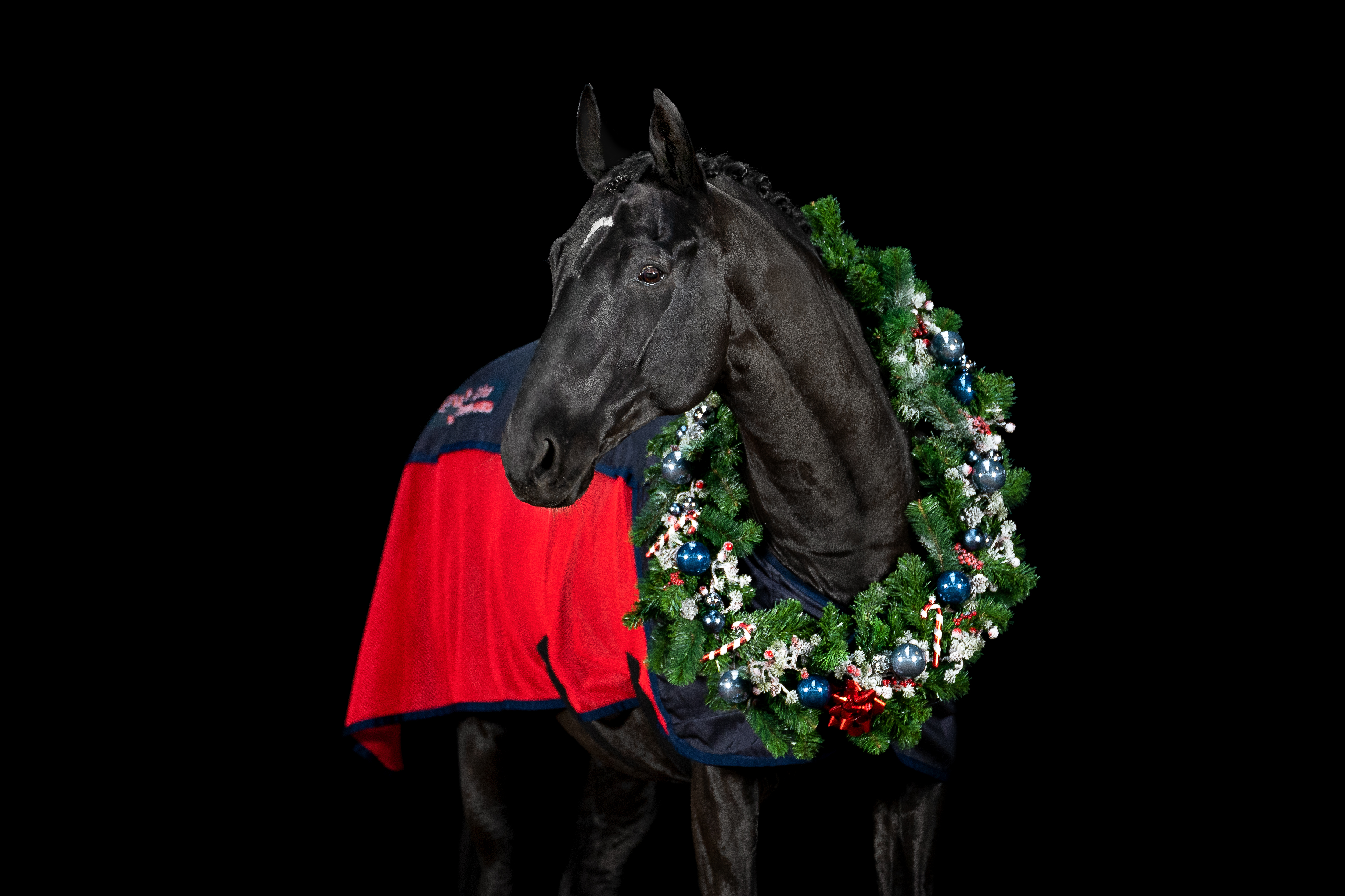 Activomed Christmas
