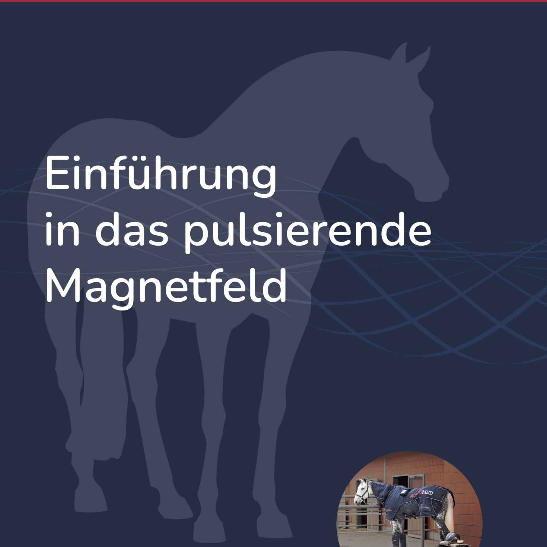 Einführung in das pulsierende Magnetfeld