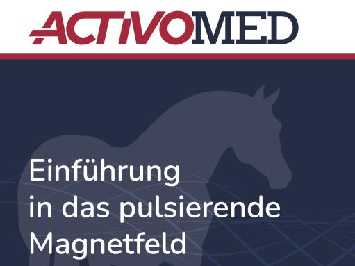 Einführung in das pulsierende Magnetfeld